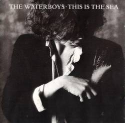 The Waterboys : This Is the Sea